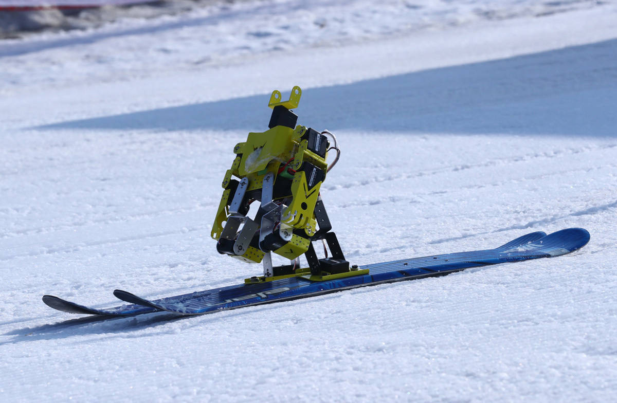开云手机在线登陆入口-包含窗口期法兰克福单刀错失——全明星赛节点到来，更衣室稳定，球探报告显示潜力的词条-开云手机在线登陆入口